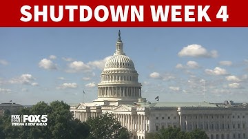 Government shutdown enters fourth week