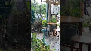 Coffee At New Environment