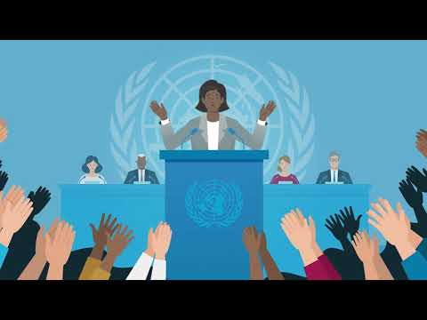 Video: Hvad er FN-emblemet?