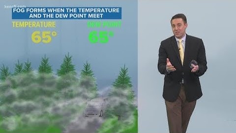 How fog forms and how it goes away | Weather Minds