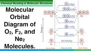 Molecular Orbital Diagram of O2, F2, and Ne2 Molecules. screenshot 5