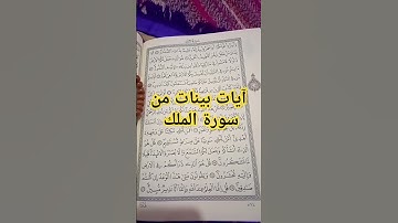 آيات بينات من سورة الملك #القرآن_الكريم #سورة_الملك #تلاوة_خاشعة #اكسبلور #ترتيل #tilawat#لايك #صوتي