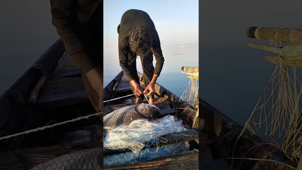 Katla Machali ko rassi se kholte huye Part-2 🤯🥵 