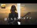 儚くも永久のカナシ / UVERwolrd 🎸放課後の女子高生軽音部が 歌ってみた [AI Sing Cover kAthrsIs -カタルシス-]