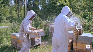 Partenariat Les Compagnons Du Miel
