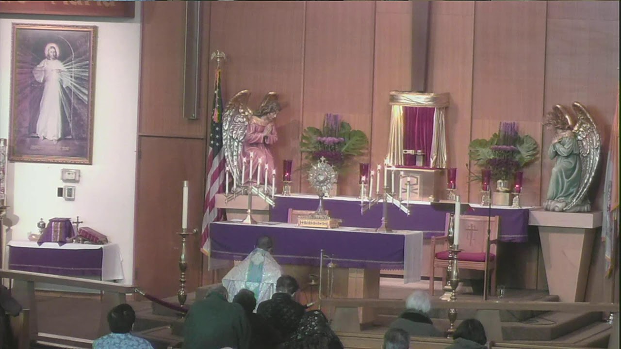 11:00am Holy Hour: Rosary, Divine Mercy Chaplet, and Benediction