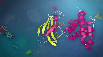Fluoppi: Visualizing Protein-Protein Interactions in Living Cells