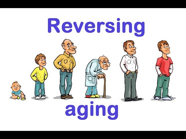 Could Aging Be Reversed?