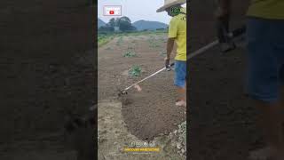 Side pack brush cutter 4stroke Rs9900 Maduraidt 9787672239,TN