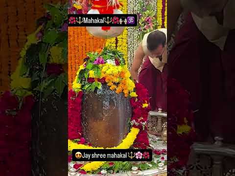 बाबा महाकाल ने बुलाया… और हम उज्जैन पहुंच गए 🙏🔱 #shorts