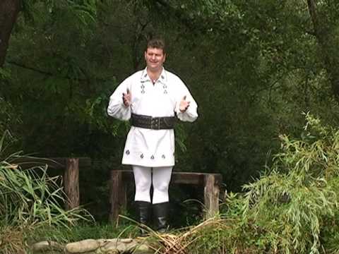 Pe dealul de la Pintic