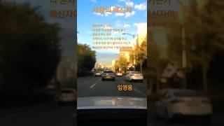 #사랑의배신자#임영웅가수님노래#oldKpop 10032023 #흘러간노래5060