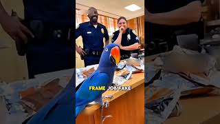 #funny #parrot #parrottalking #fypシ #shorts #viral #sora