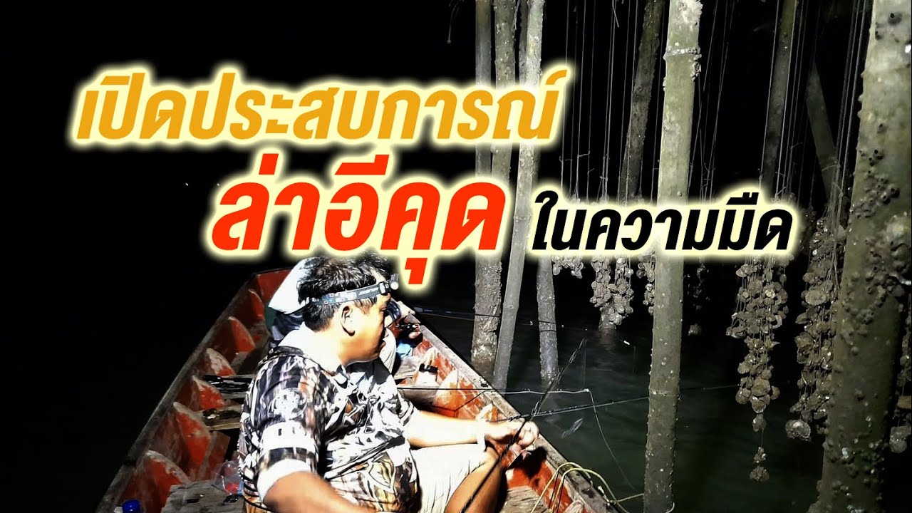 เปิดประสบการณ์ตกปลากลางคืน ออกล่าอีคุด บางตะบูน