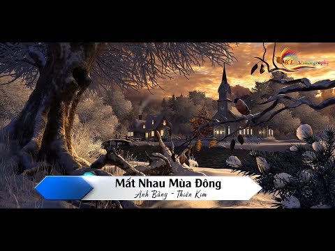 Karaoke - Mất Nhau Mùa Đông (Anh Bằng) Thiên Kim