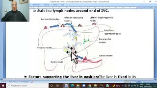 Anatomy GIT Module in Arabic 29 ( Liver, part 3  ) ,  by Dr, Wahdan
