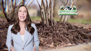 🌿 Landscaping & Outdoor Services in Putnam Valley, NY | Cedar Leaf Corp.