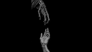 Eclipse of Flesh