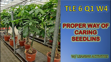 PROPER WAY OF CARING SEEDLINGS / TLE 6: Agriculture Week 4 (K-12 MELC Based)