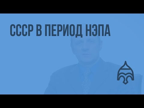СССР в период НЭПа. Видеоурок по истории России 11 класс