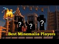 Best minemalia players of all time