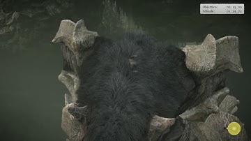 Shadow of the Colossus PS4 - #4 Phaedra - Hard Time Attack