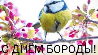 С ДНЕМ БОРОДЫ! САМОЕ КРАСИВОЕ ПОЗДРАВЛЕНИЕ С ДНЕМ БОРОДЫ