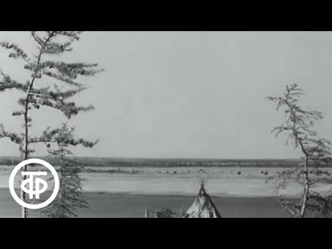Мы - нганасаны (1967)