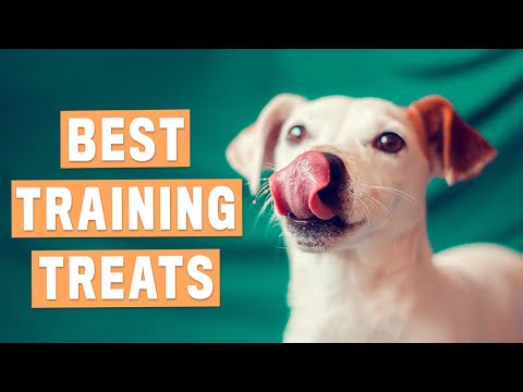 4-easy-dog-treat-recipes-|-no-flour,-no-peanut-butter