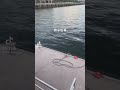 奇跡www 奇跡 Tiktok ミリオン動画 奇跡www 奇跡 Tiktok ミリオン動画