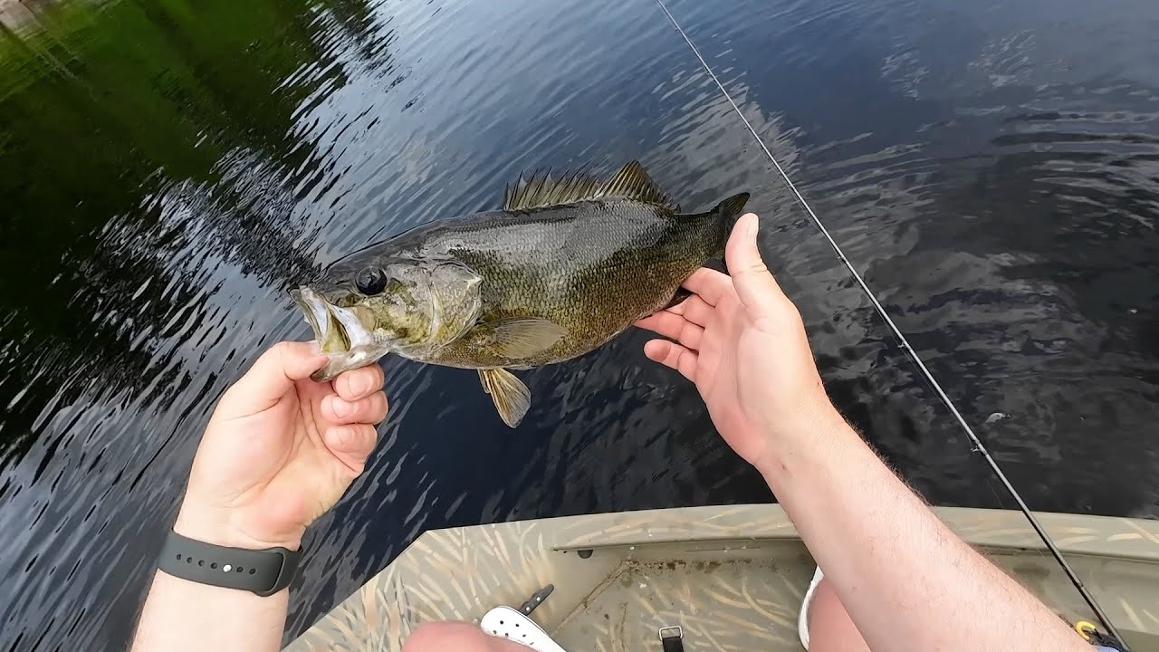 Smallmouth Bass fishing