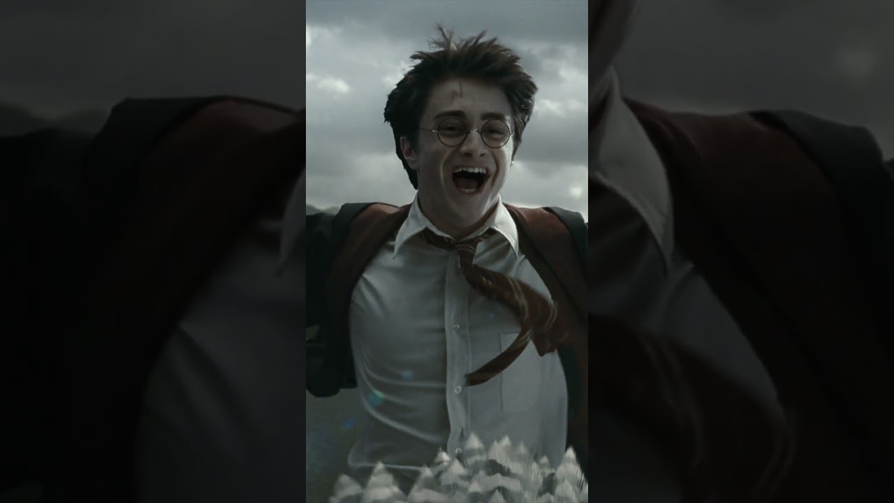 Harry and Buckbeak's flight 