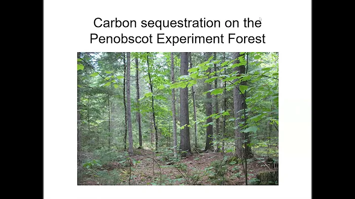 Carbon Outcomes of Silvicultural Alternatives at t...