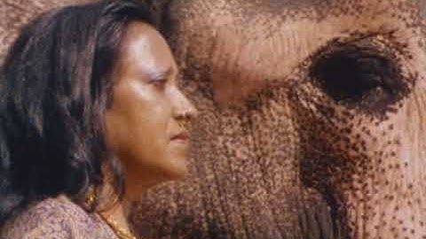 A Journey Within A Journey