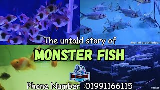 The Untold Story of monster fish || দানব মাছের আনটোল্ড স্টোরি || My Monster