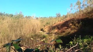 De ruta subiendo hacia Ibio (Cantabria)