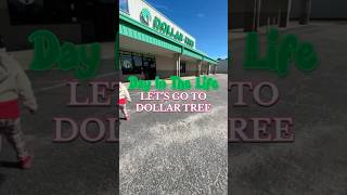 #DollarTreeFinds #DollarTreeDeals #BudgetShopping #DiscountFinds #SmartShopping #EverydaySavings