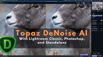 Using Topaz DeNoise AI with Lightroom Classic, Photoshop, and as a Standalone