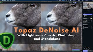 Using Topaz DeNoise AI with Lightroom Classic, Photoshop, and as a Standalone