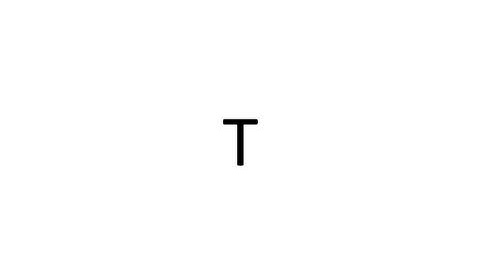 BIFURCATION SIMULATIONS - T