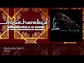 Harem - Darbouka Solo 1