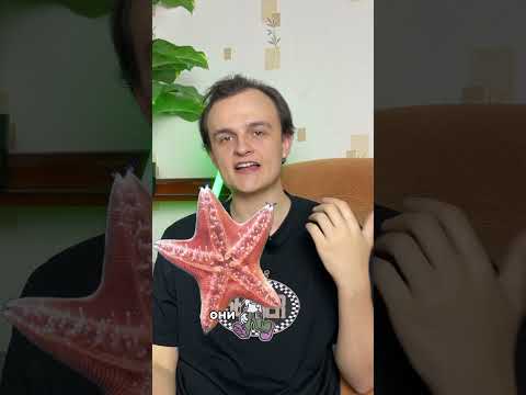 Самый странный способ охоты💯 #история #репетиторскаяимперия #егэ