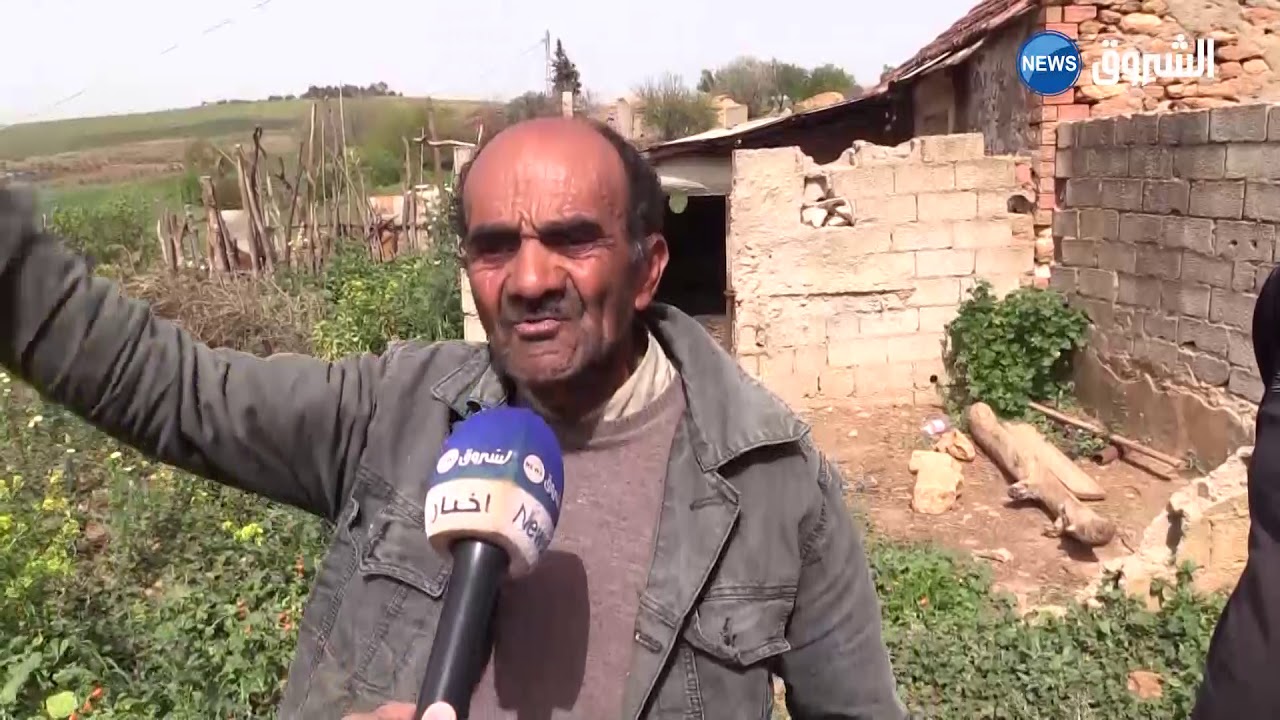 #عين_الدفلى| عصابة سرقة المواشي تواصل عمليات السطو على الموالين بجندل