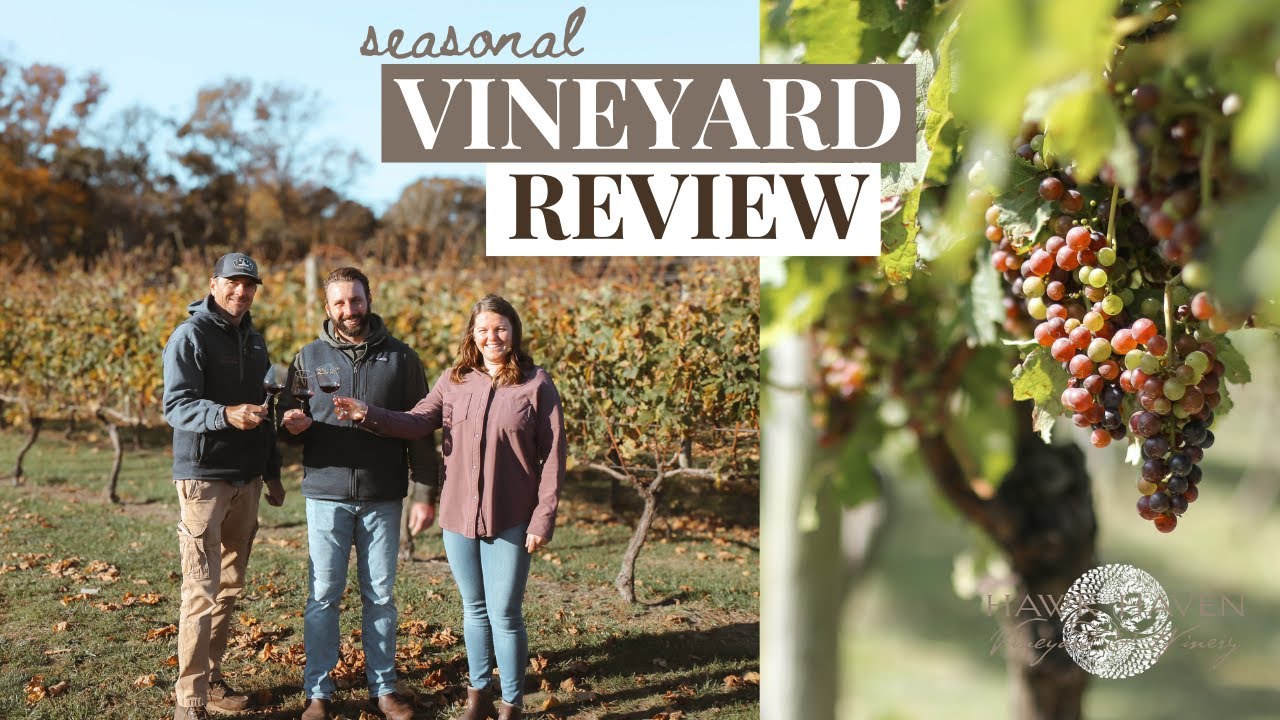 A Vineyard Season Review: Winter's Transition to Spring + New Spring Wines! 🍇🍷