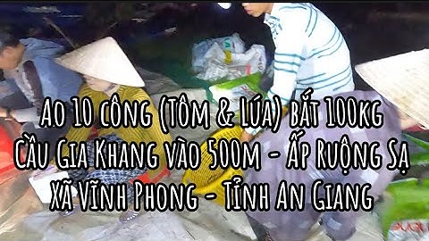 Ao 10 công bắt 100kg tôm càng xanh Cầu Gia Khang vào 500m - Ấp Ruộng Sạ - Vĩnh Phong - Tỉnh An Giang