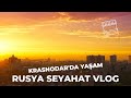 Krasnodar Rusya, Food Market Center Goroda, Rusya’da Yaşam (Vlog 2021)