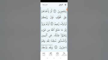 سورة النحل بالتجويد المبسط الصفحة (٢٧٢)