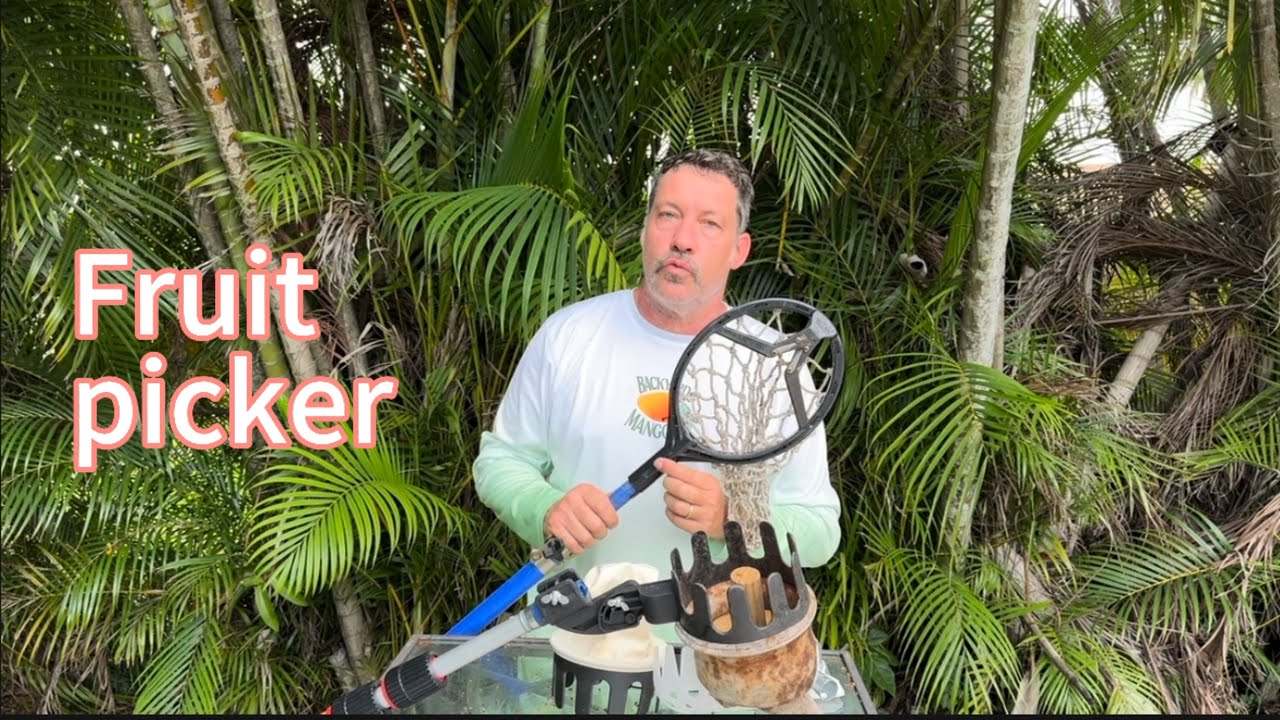 Best fruit picker - YouTube