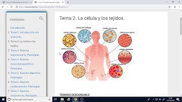 Tutorial de manejo de la plataforma de ITEP