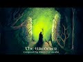 Celtic Music - The Wanderer